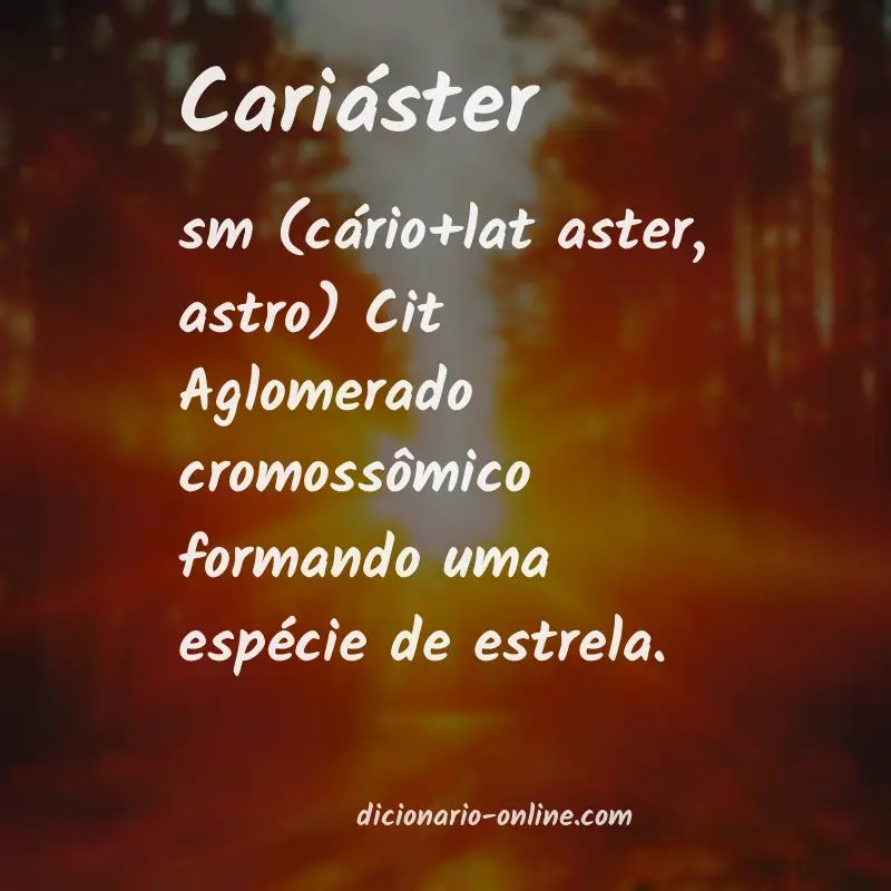 Significado de cariáster