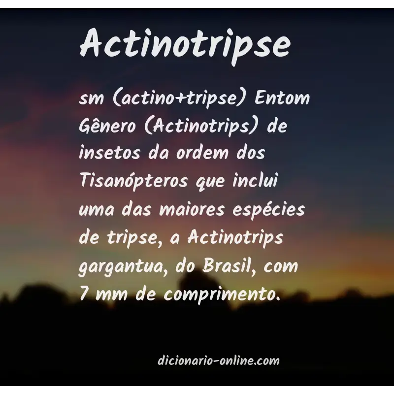 Significado de actinotripse