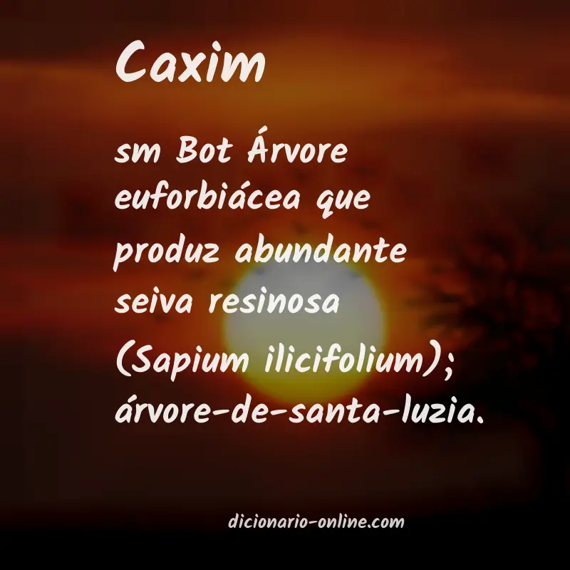 Significado de caxim
