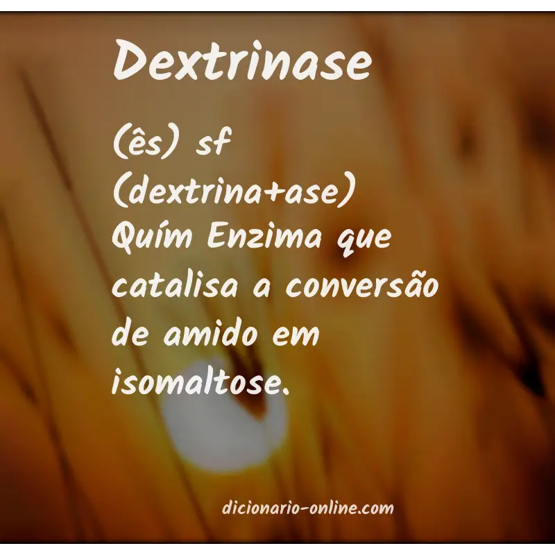 Significado de dextrinase