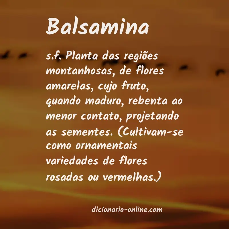 Significado de balsamina