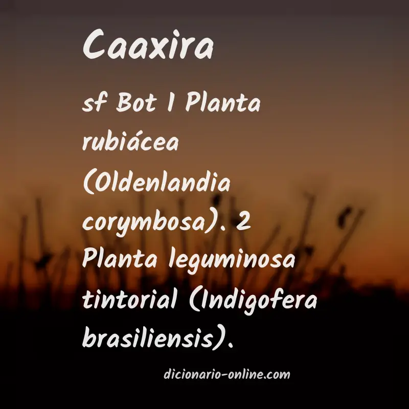 Significado de caaxira