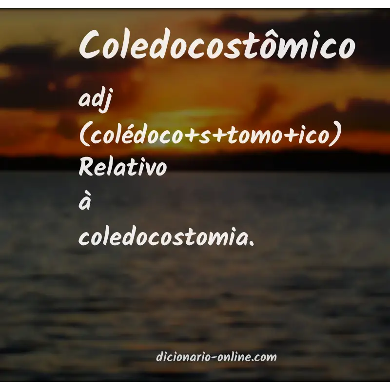 Significado de coledocostômico