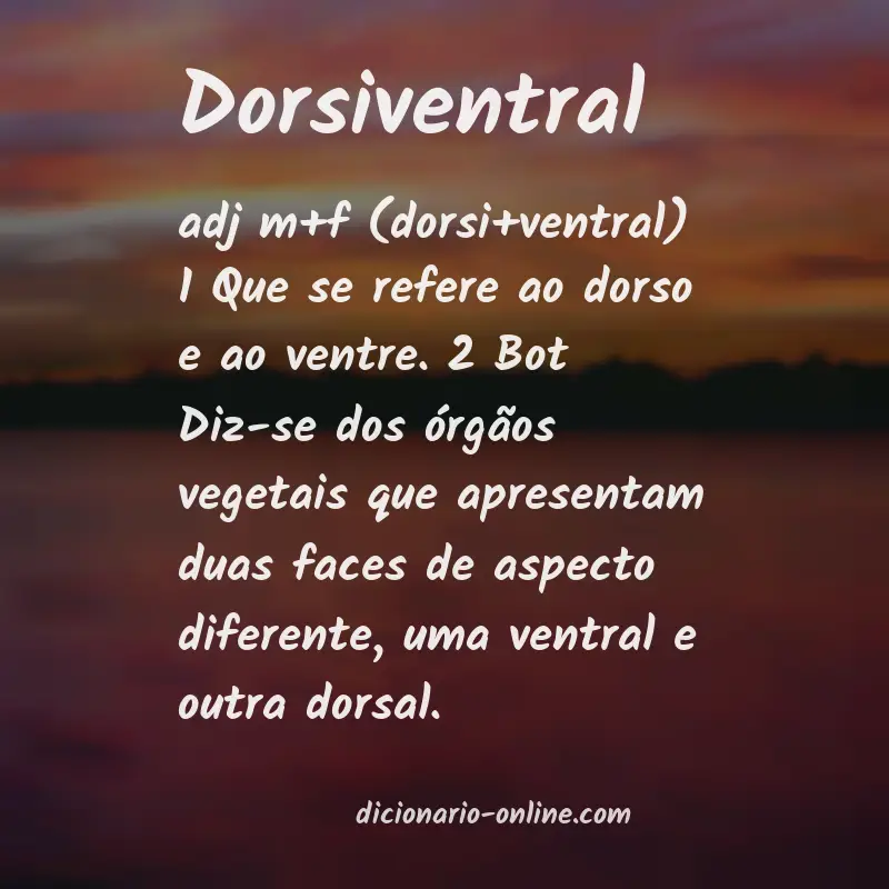 Significado de dorsiventral