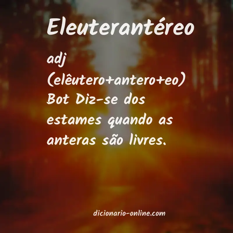 Significado de eleuterantéreo