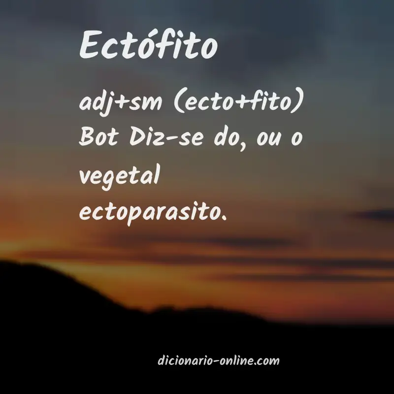 Significado de ectófito