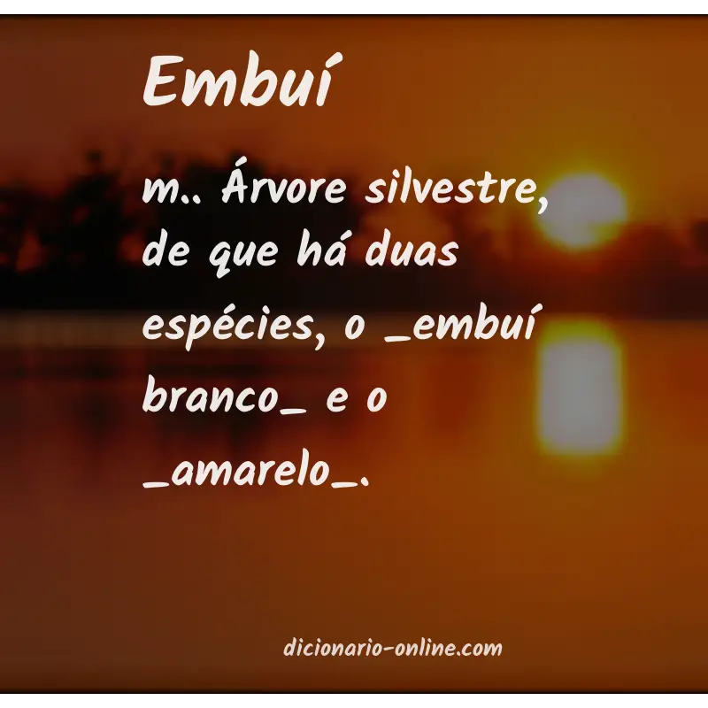 Significado de embuí