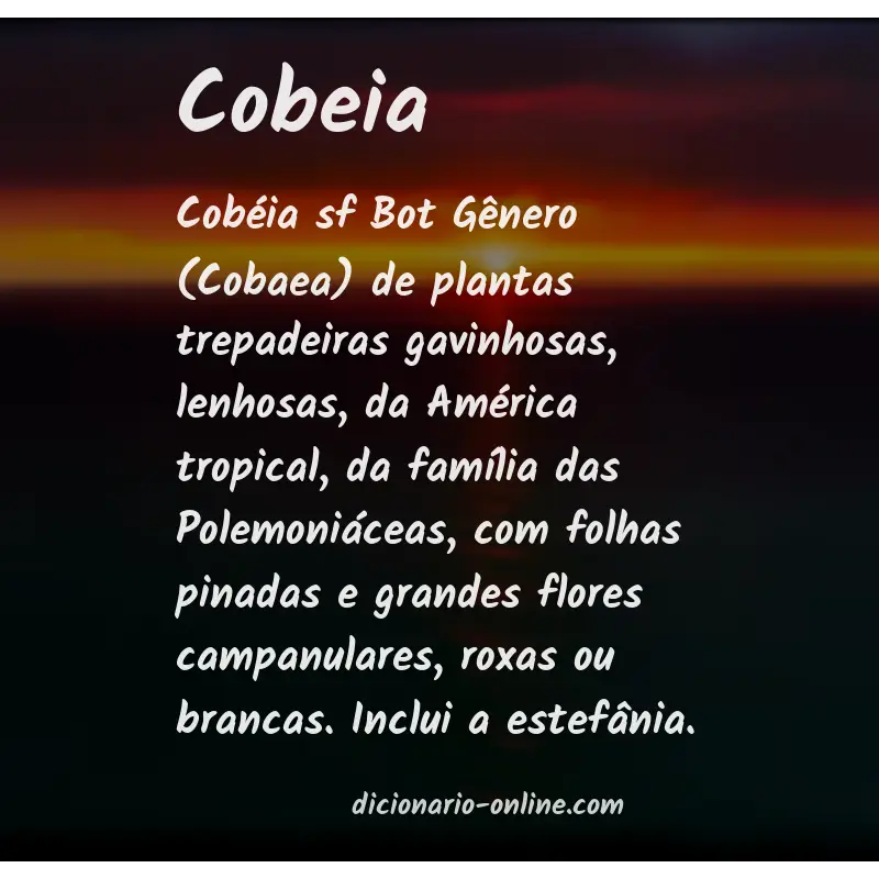 Significado de cobeia