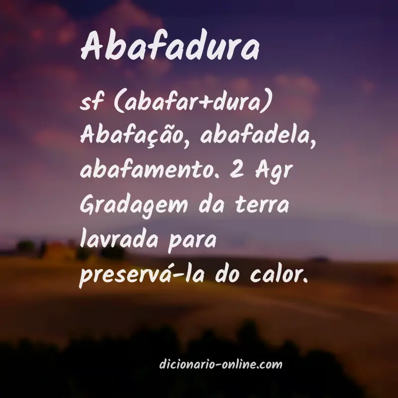 Significado de abafadura