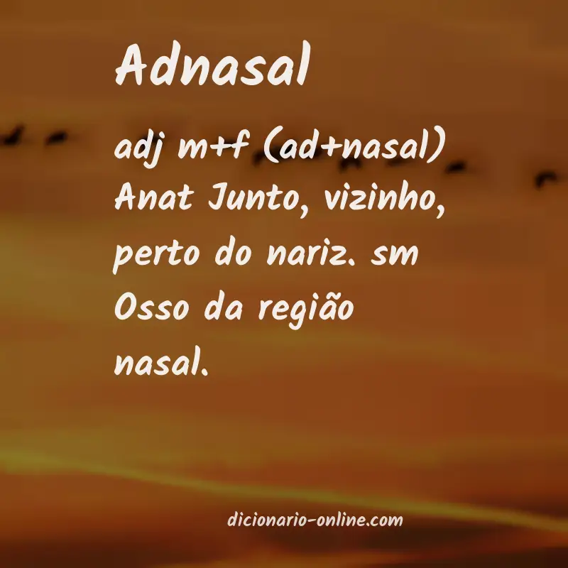 Significado de adnasal