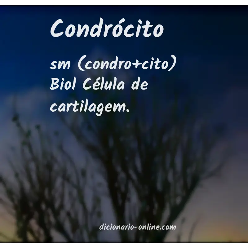 Significado de condrócito