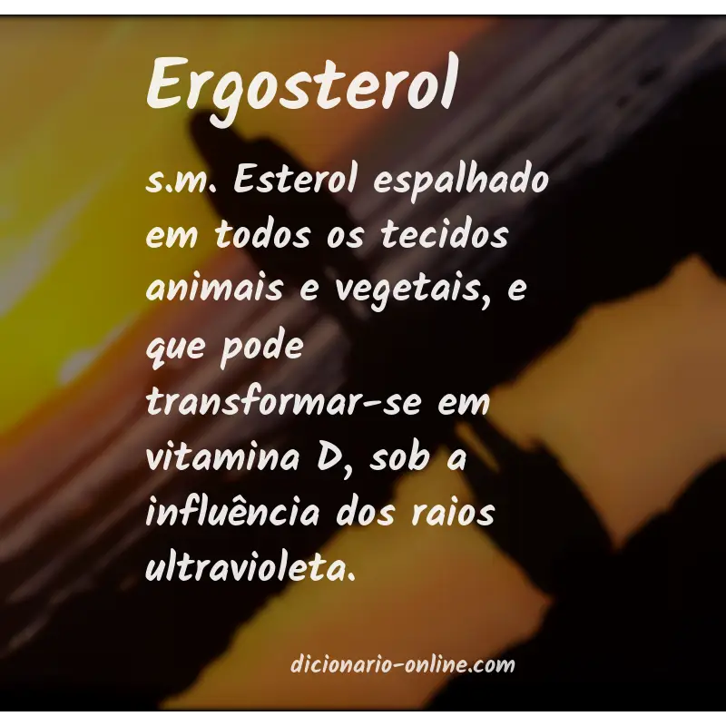 Significado de ergosterol