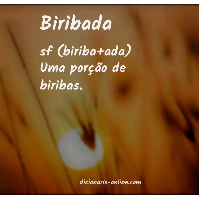 Significado de biribada