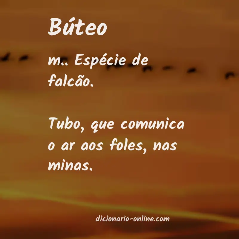 Significado de búteo