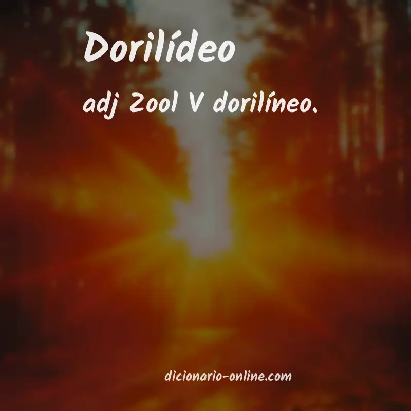 Significado de dorilídeo