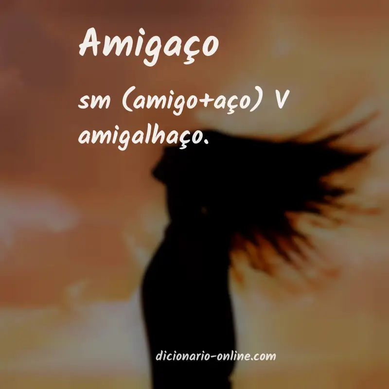 Significado de amigaço
