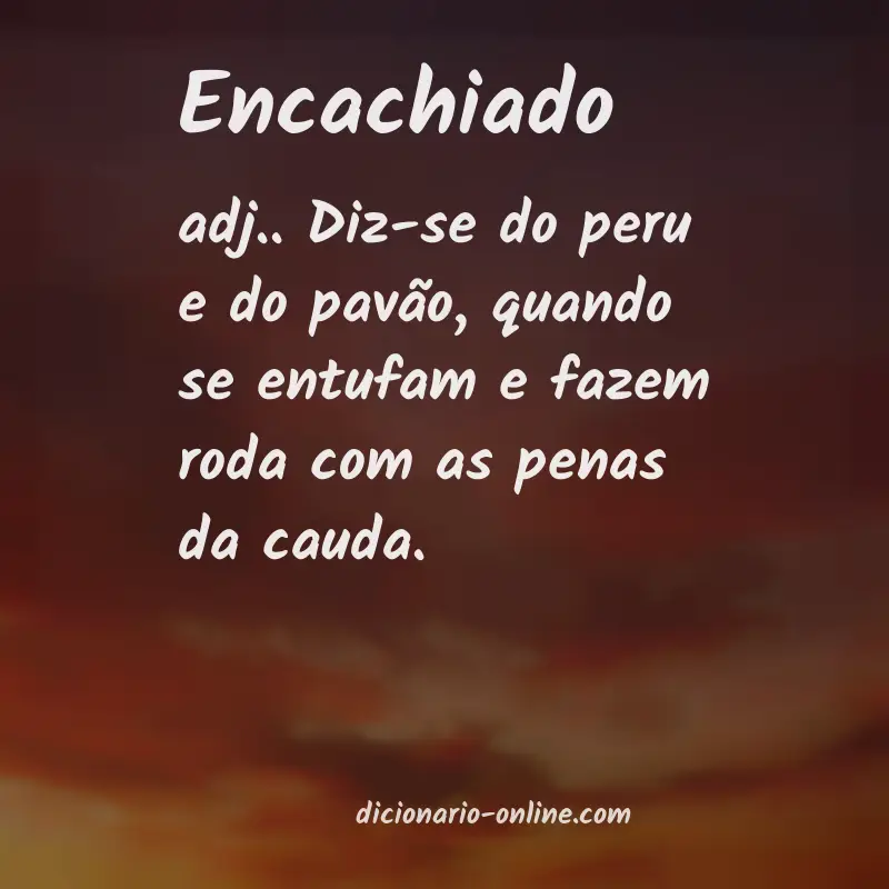 Significado de encachiado