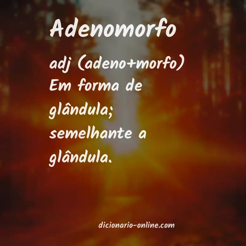 Significado de adenomorfo