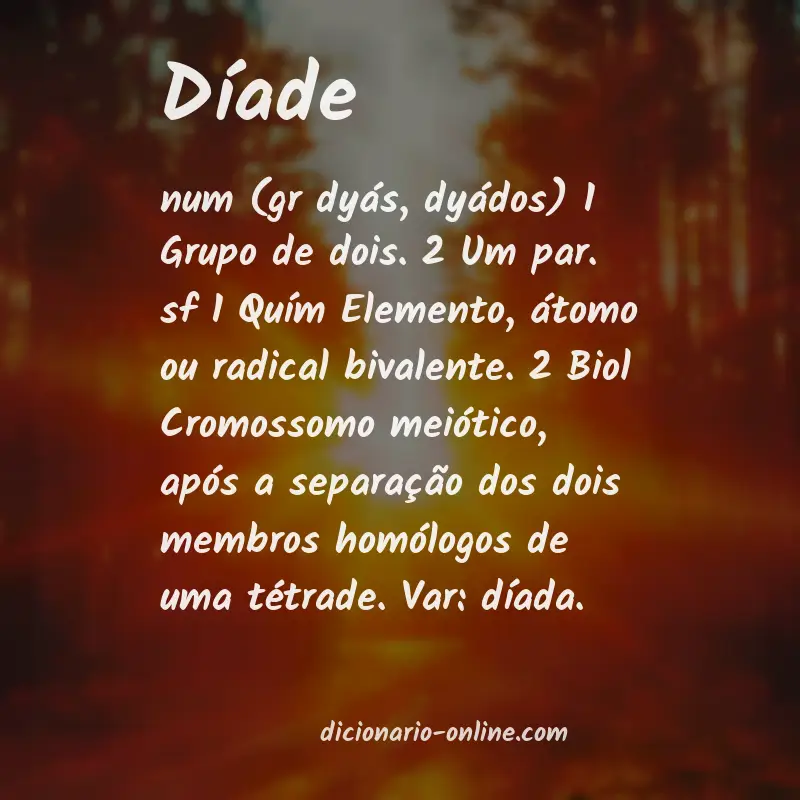 Significado de díade