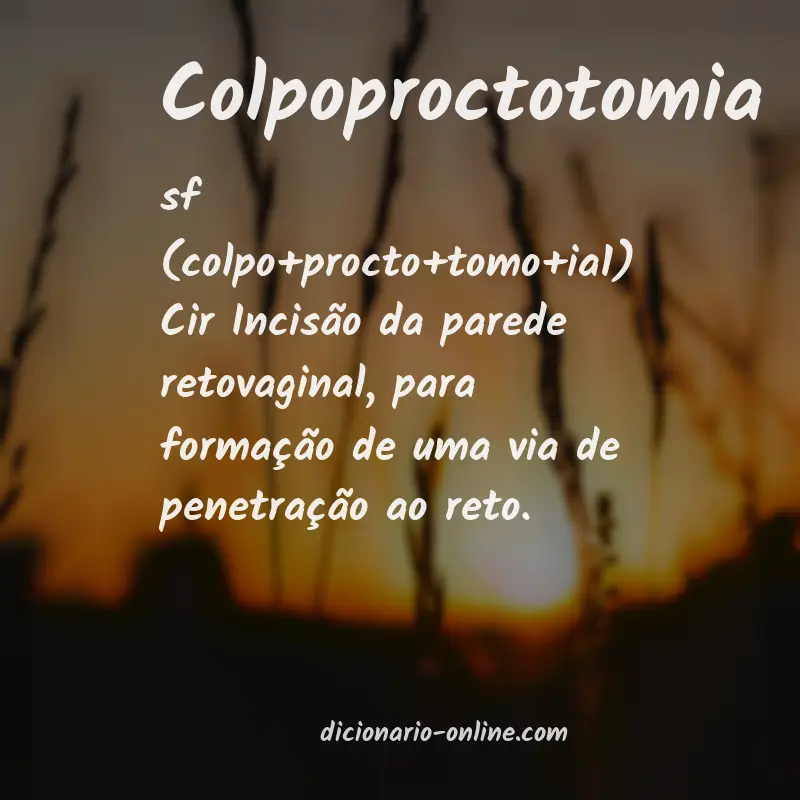 Significado de colpoproctotomia