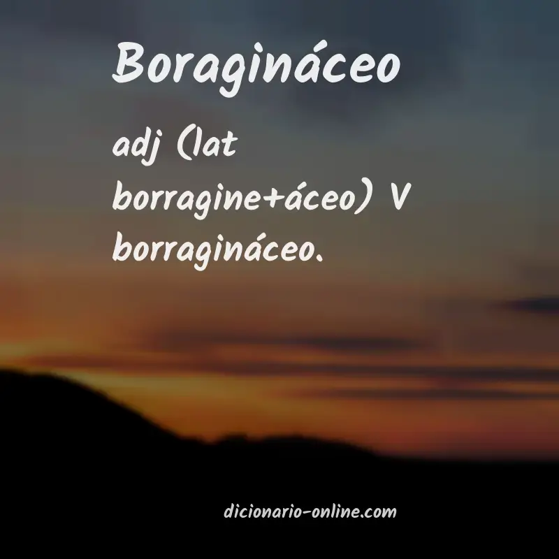 Significado de boragináceo
