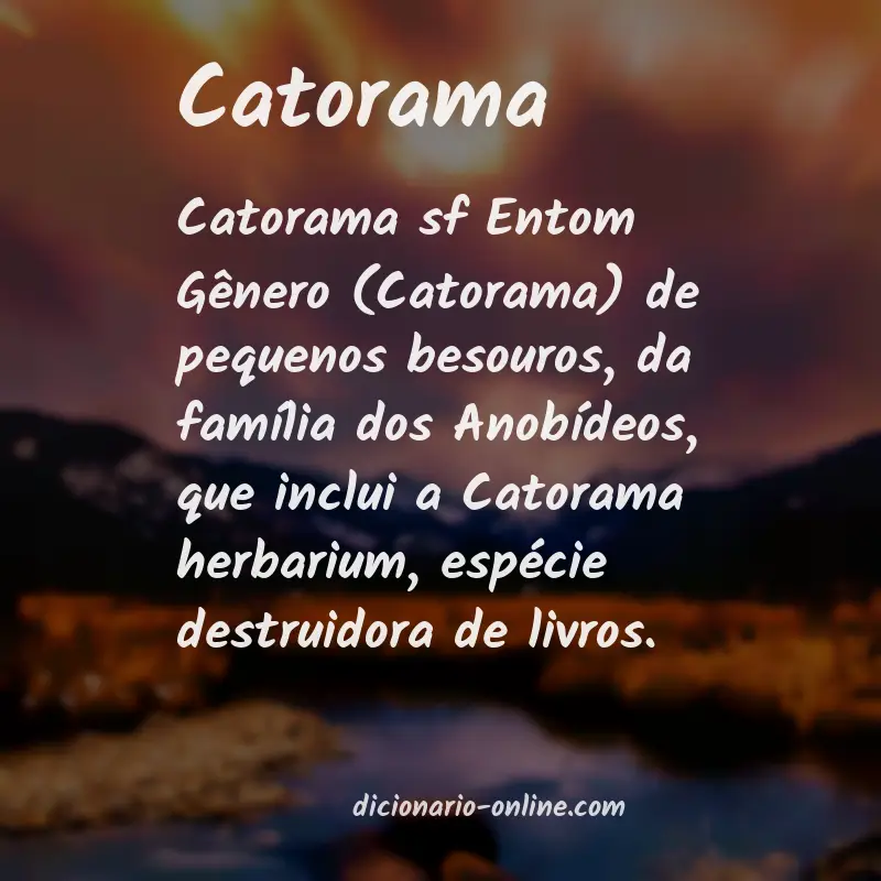 Significado de catorama