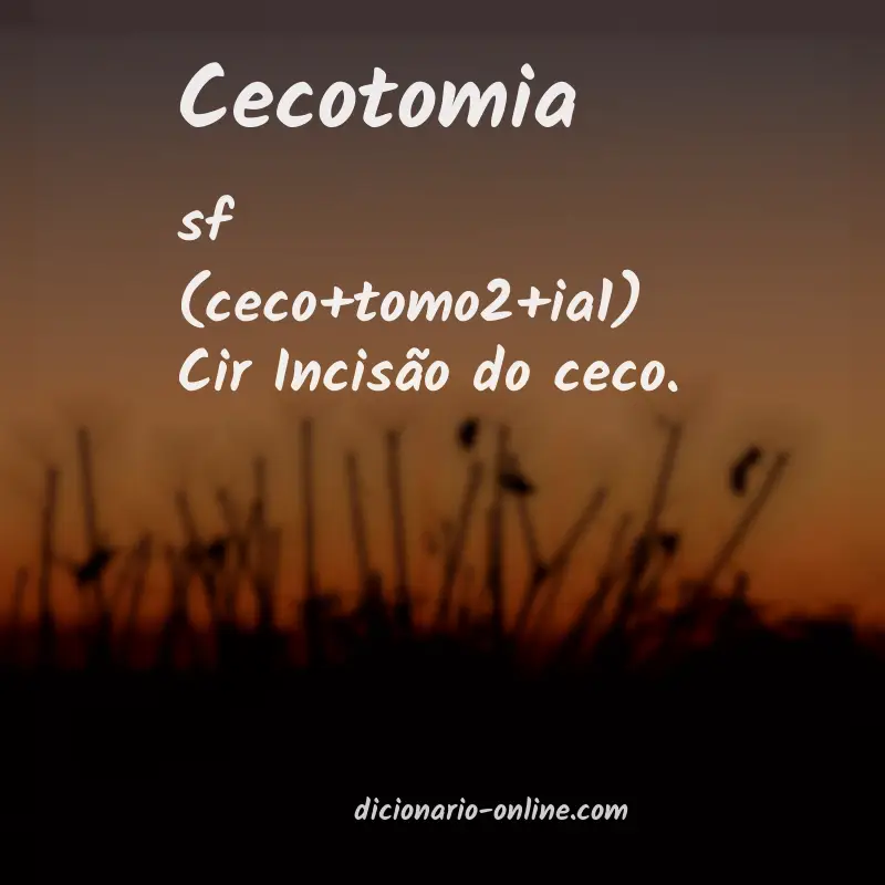 Significado de cecotomia