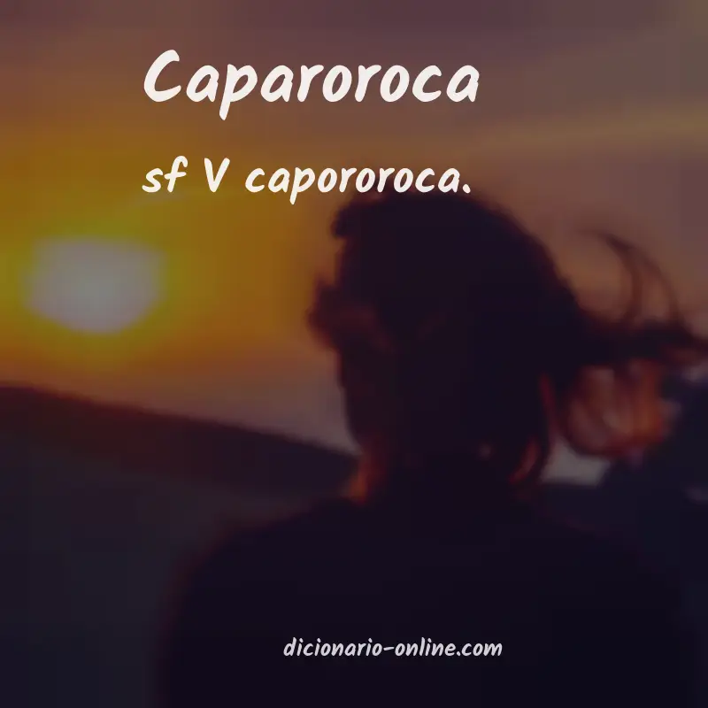 Significado de caparoroca