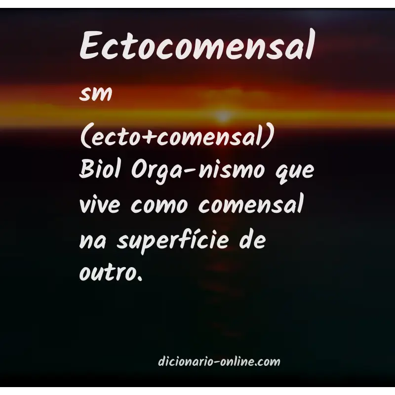Significado de ectocomensal