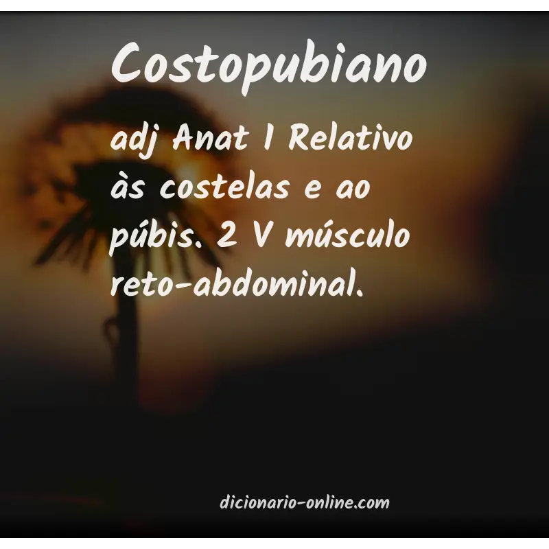 Significado de costopubiano