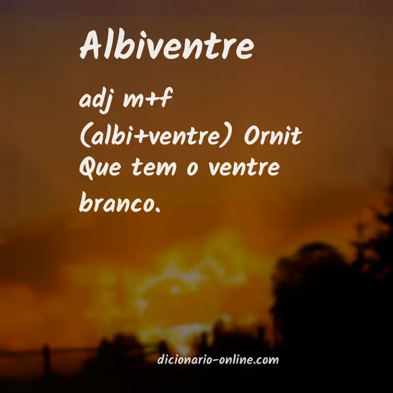 Significado de albiventre