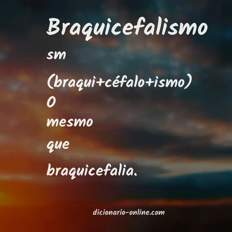 Significado de braquicefalismo
