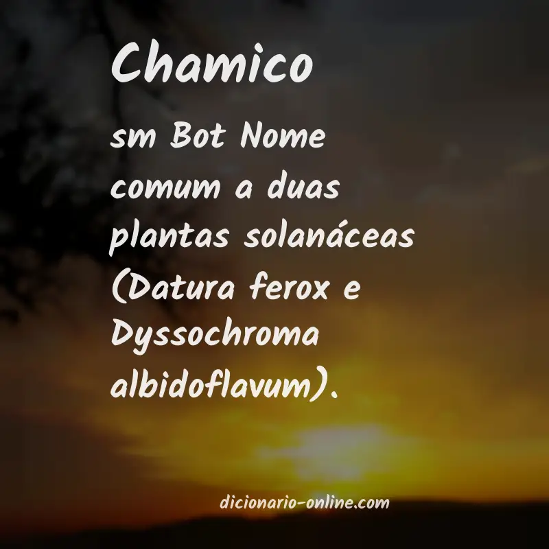 Significado de chamico