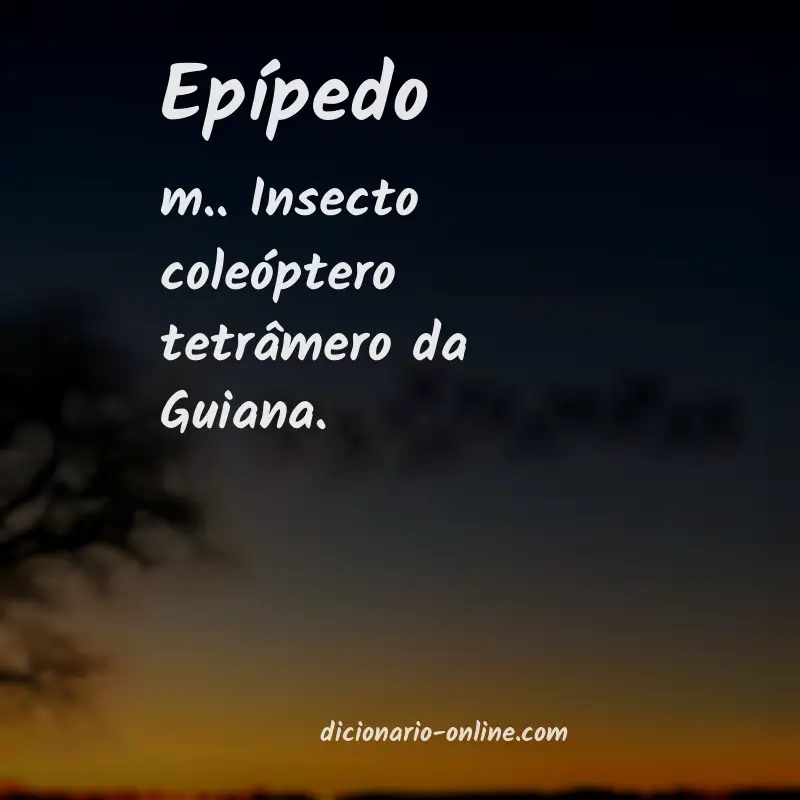 Significado de epípedo