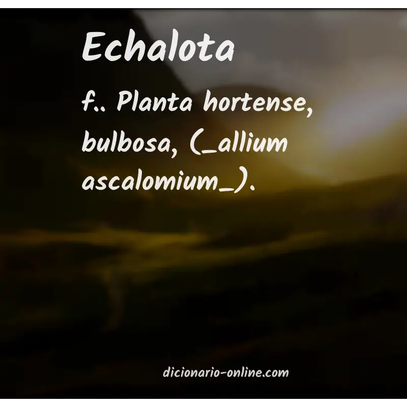 Significado de echalota