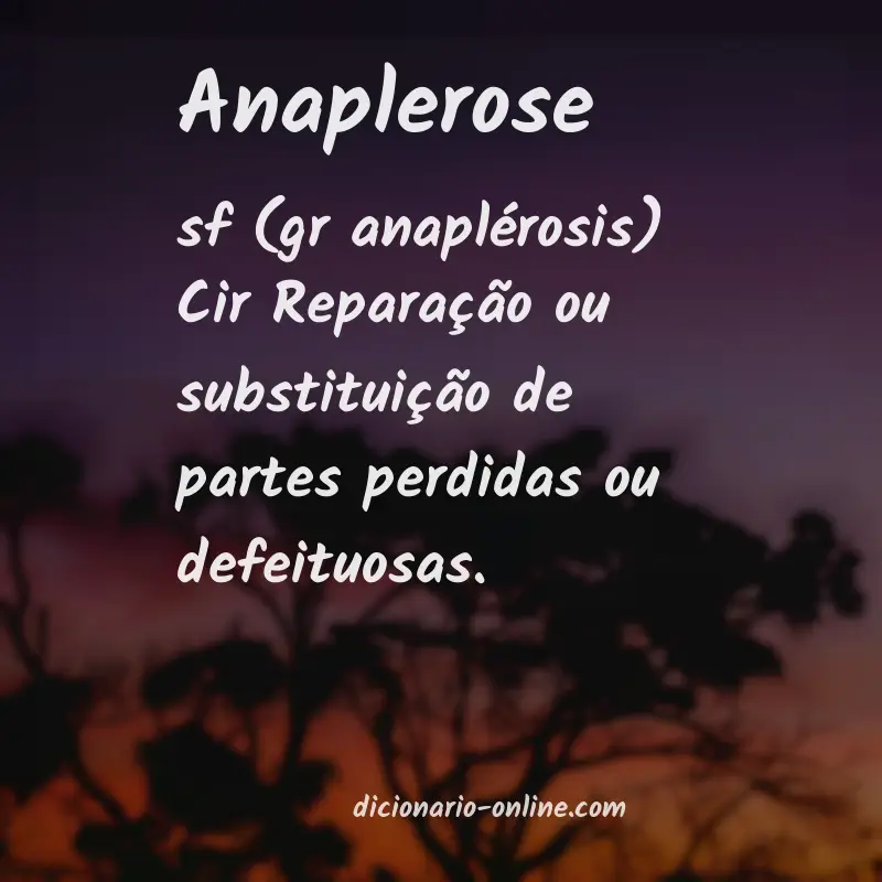 Significado de anaplerose
