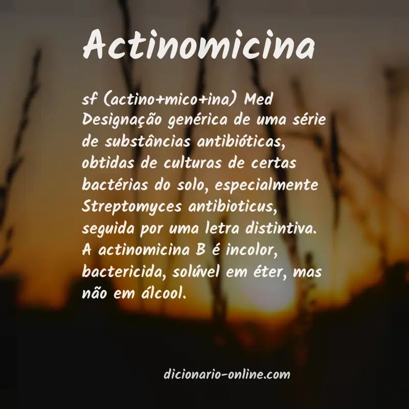 Significado de actinomicina