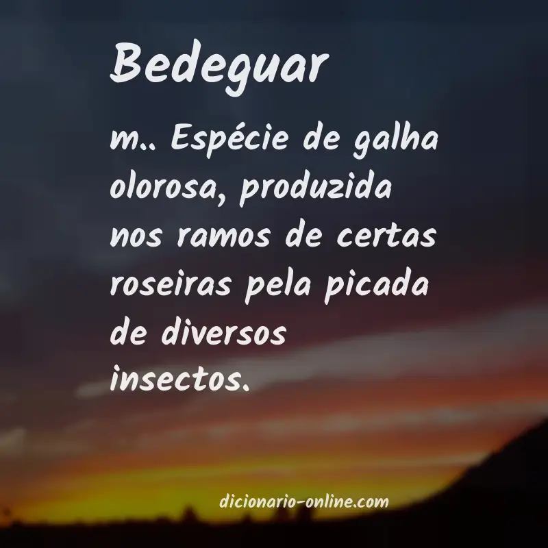 Significado de bedeguar