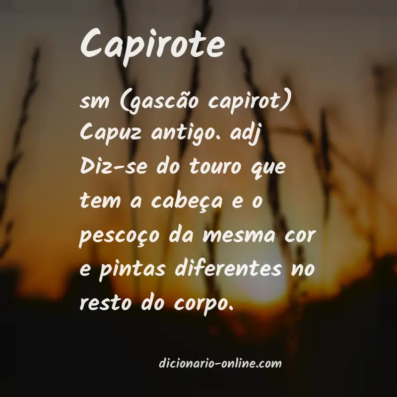 Significado de capirote