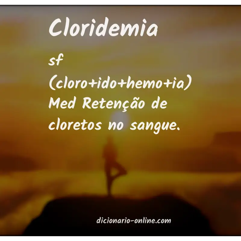 Significado de cloridemia