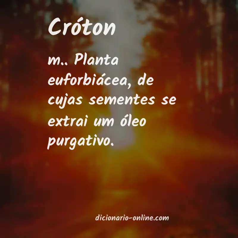 Significado de cróton