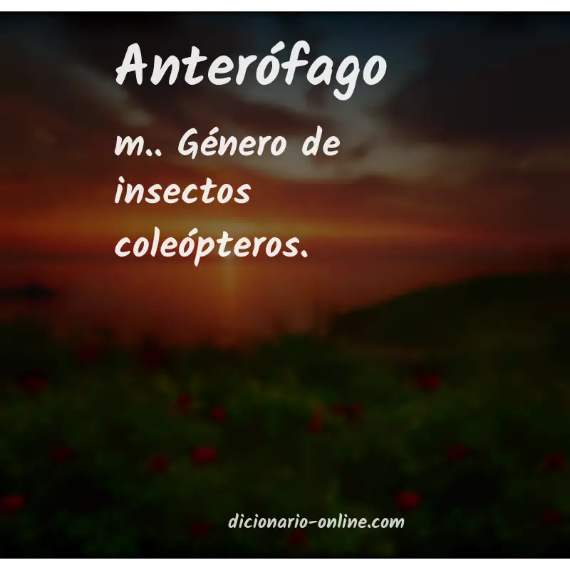Significado de anterófago