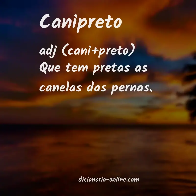 Significado de canipreto
