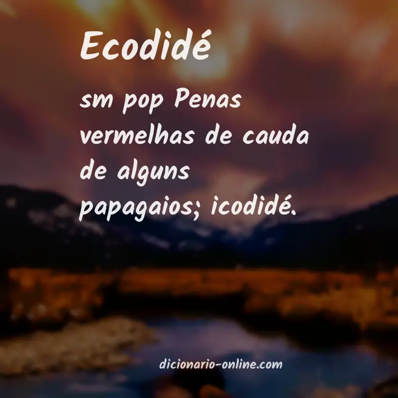 Significado de ecodidé