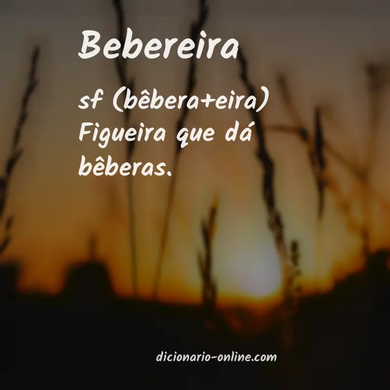 Significado de bebereira