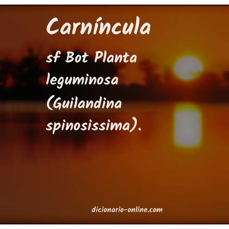 Significado de carníncula