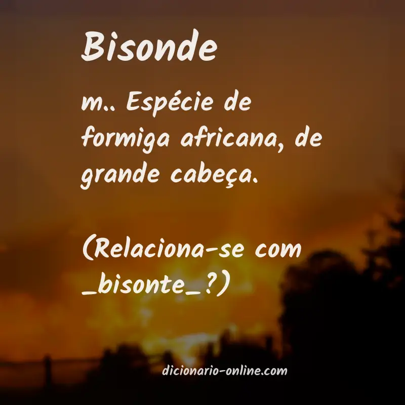 Significado de bisonde