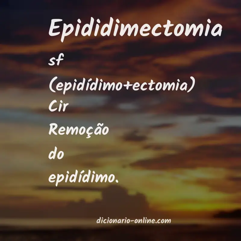 Significado de epididimectomia