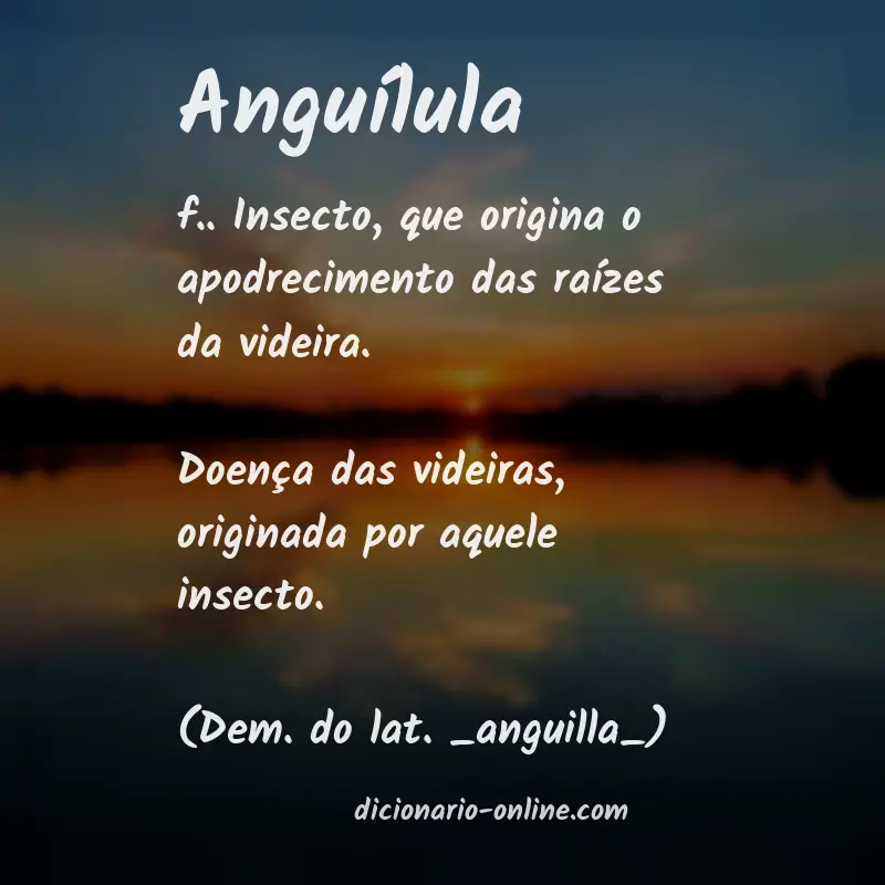 Significado de anguílula