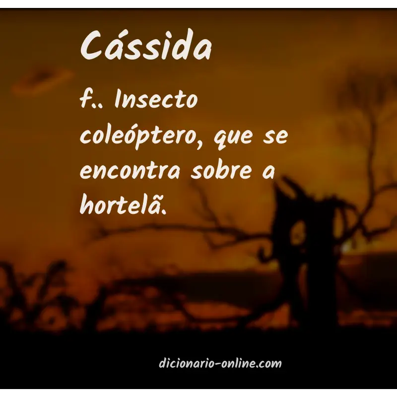 Significado de cássida